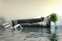 Water Damage Services of Plano image 2